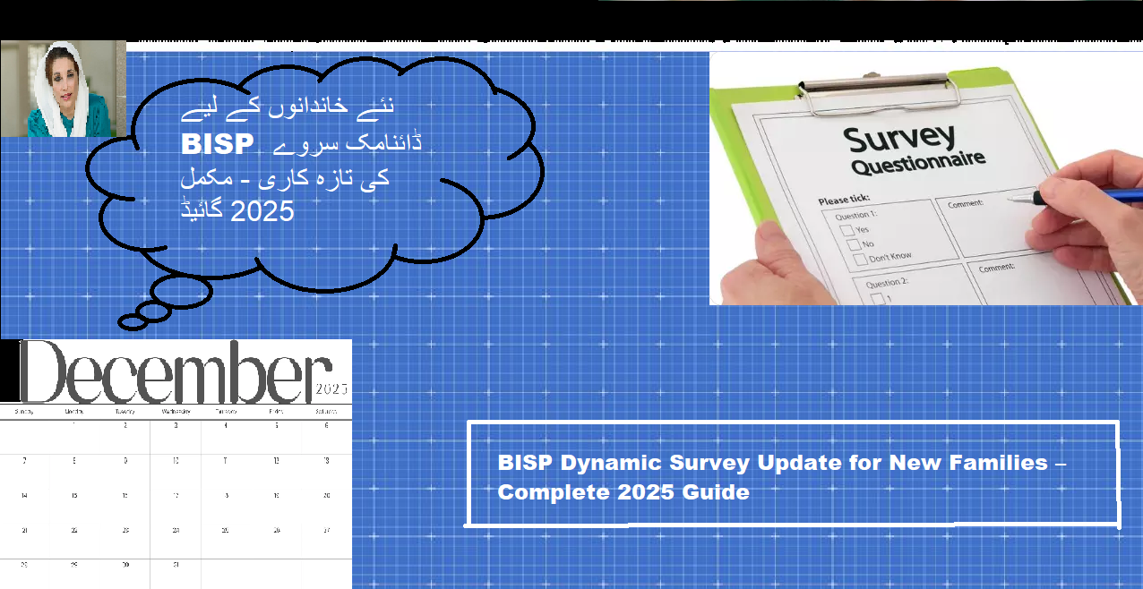 BISP Dynamic Survey Update for New Families – Complete 2025 Guide
