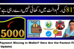 8171 Payment Missing in Wallet? Here Are the Fastest Fixes (2025 Update)